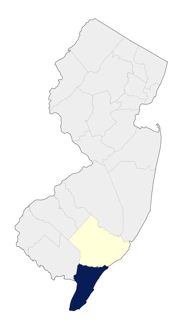 Ruddy Shelduck county map