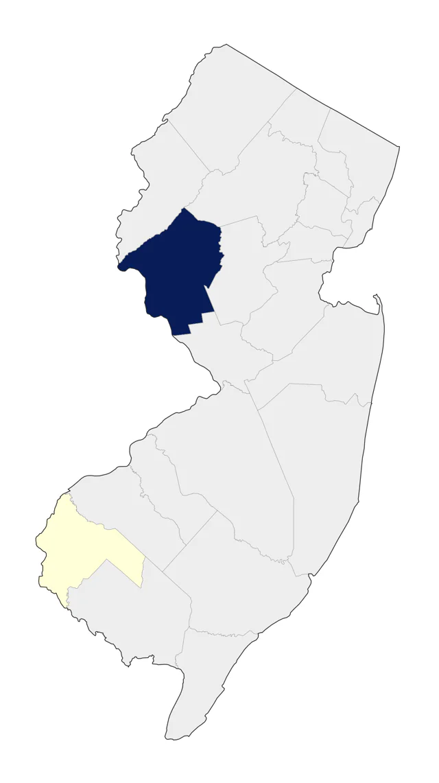 White-cheeked Pintail county map