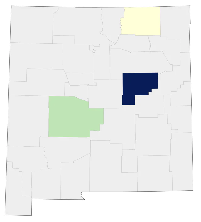 Ruff county map