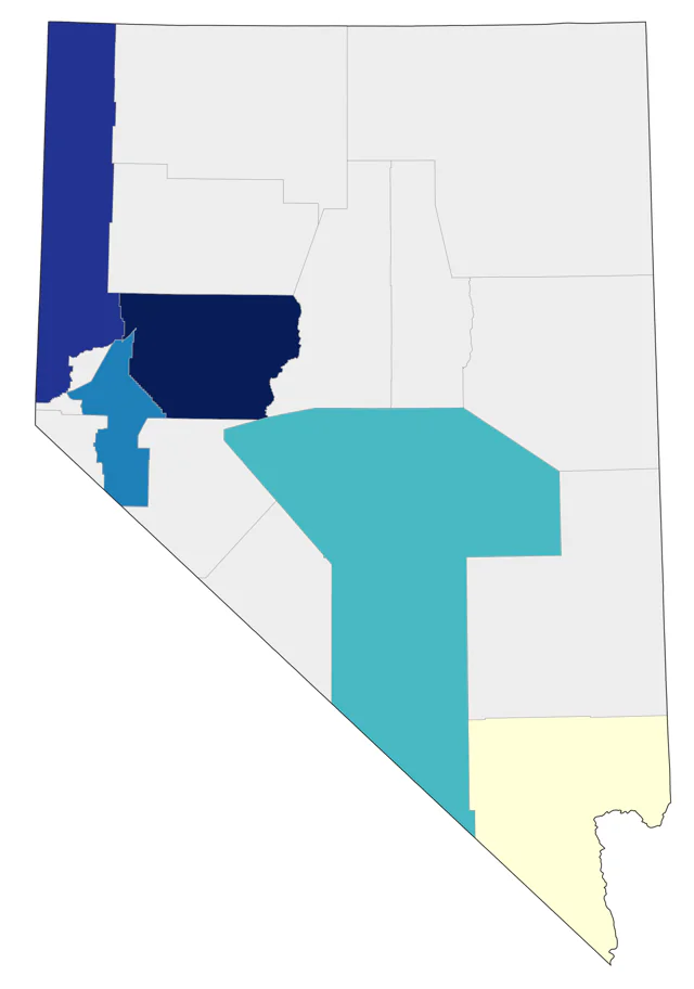 Ruff county map