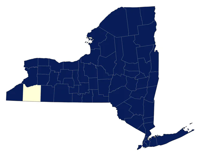 American Herring Gull county map