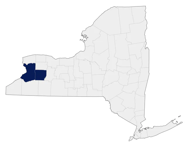 Paradise Shelduck county map