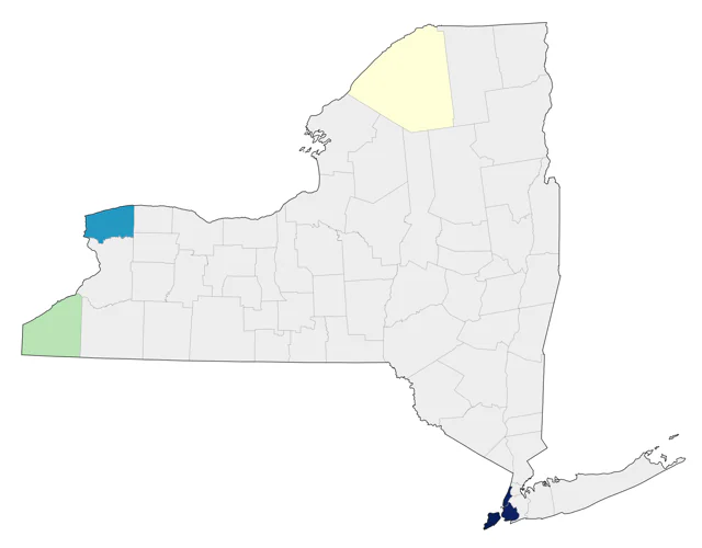 Short-billed Gull county map