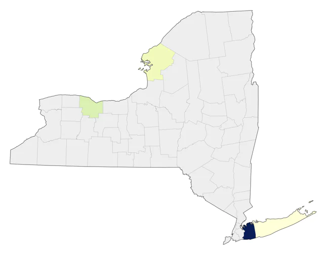 White-winged Tern county map