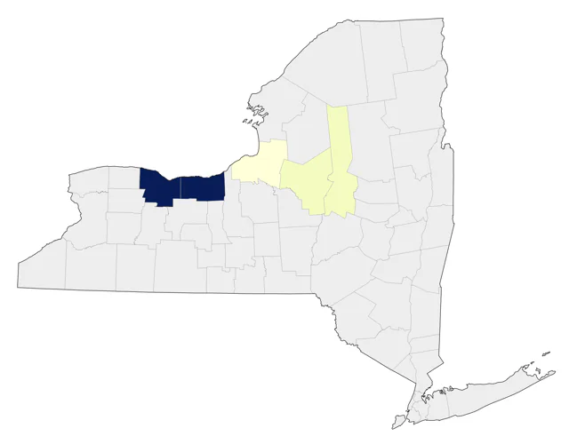 Yellow-billed Loon county map