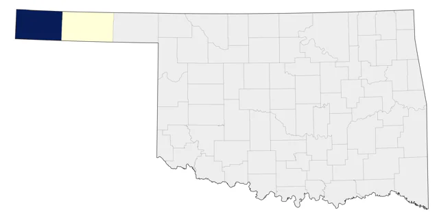 Mountain Chickadee county map