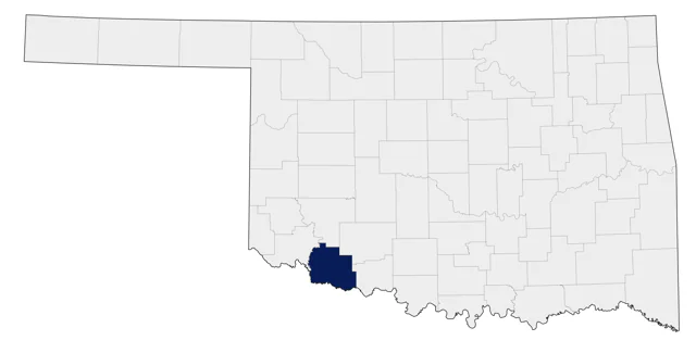 Ruff county map