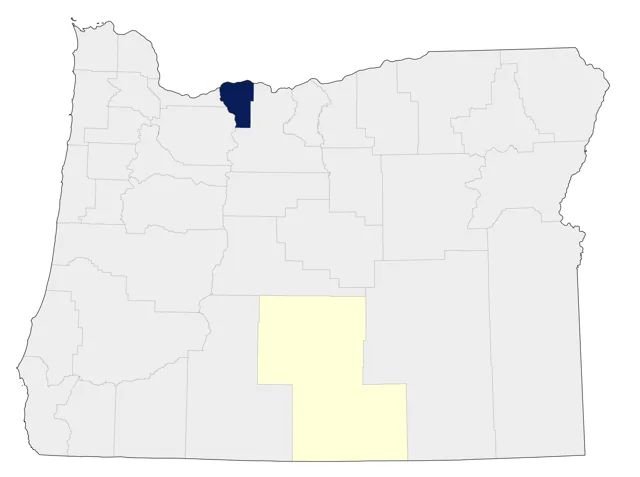 American Black Duck county map