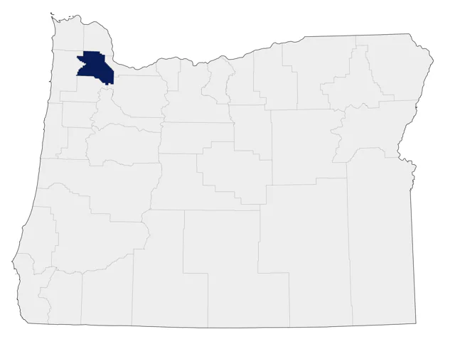 Ruddy Shelduck county map