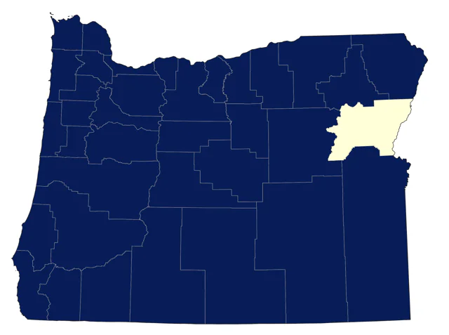 Wood Duck county map
