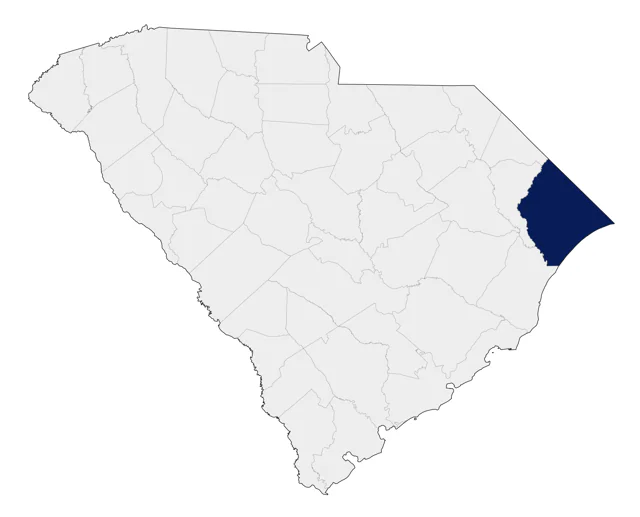 Ringed Teal county map