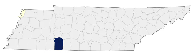American Flamingo county map