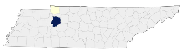 Barnacle Goose county map
