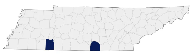 Black-capped Petrel county map