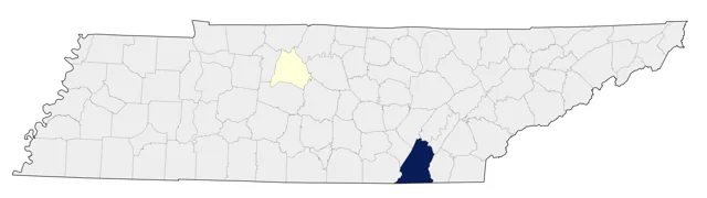 Cassin's Kingbird county map