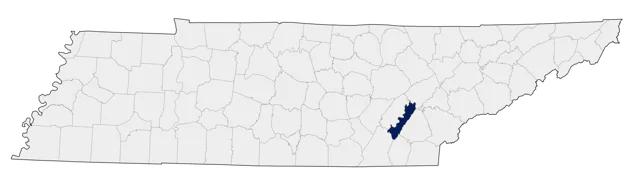 Common Shelduck county map