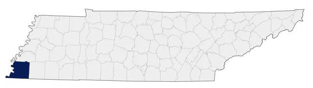 Ringed Teal county map