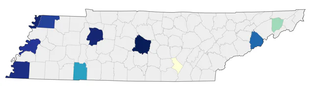 Ruff county map