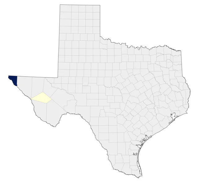 Berylline Hummingbird county map