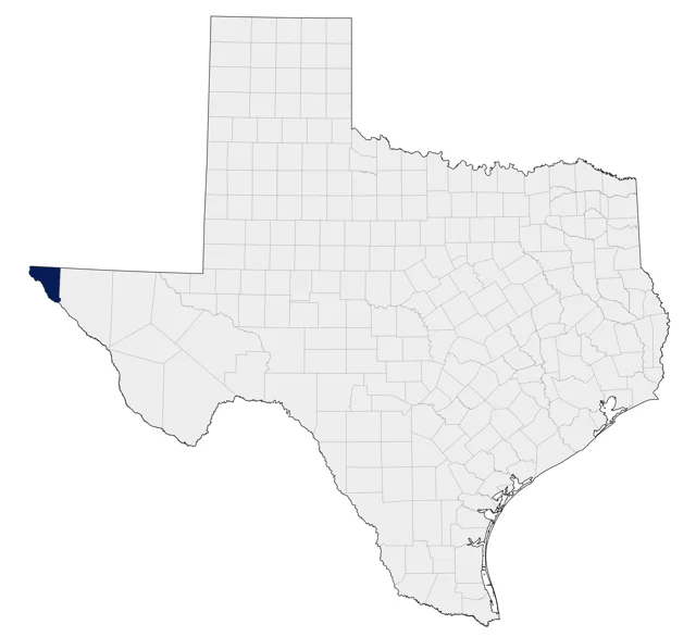 Black-capped Chickadee county map