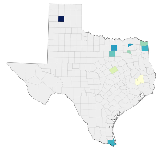 Black-headed Gull county map