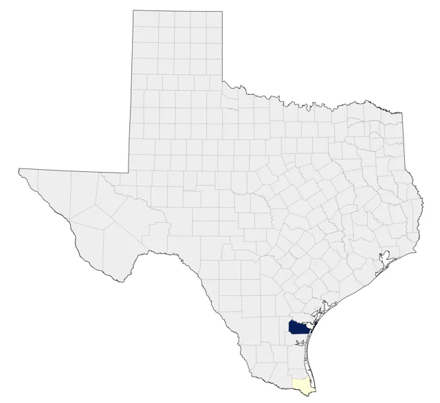 Black-tailed Gull county map