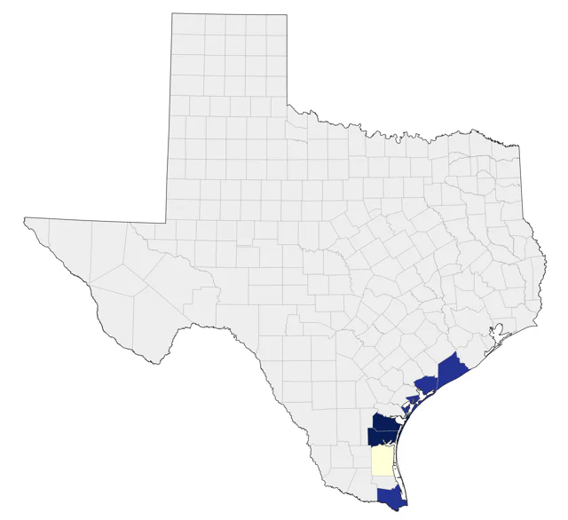 Brown Noddy county map