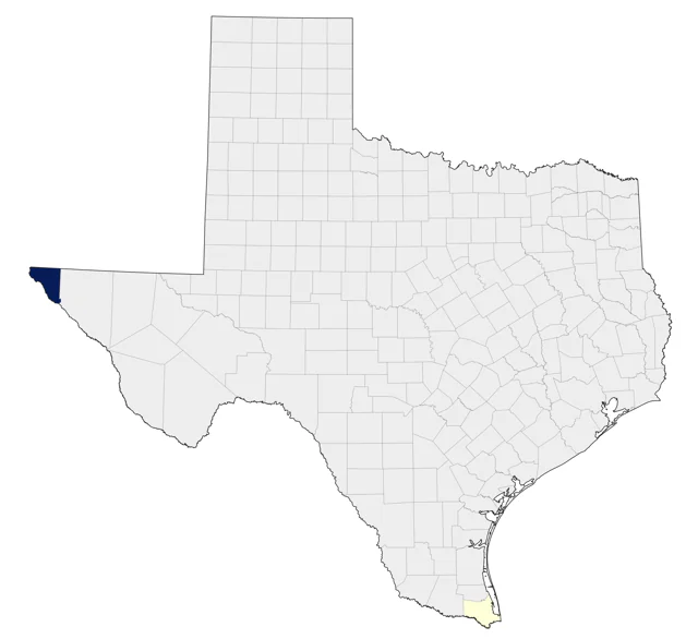 Gray Silky-flycatcher county map