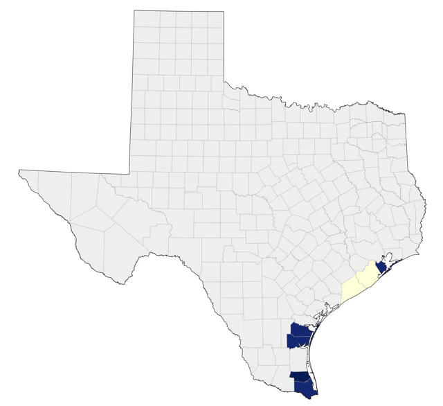 Kelp Gull county map