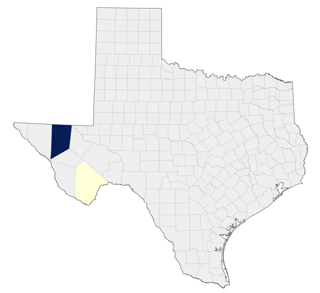 Northern Pygmy-Owl county map