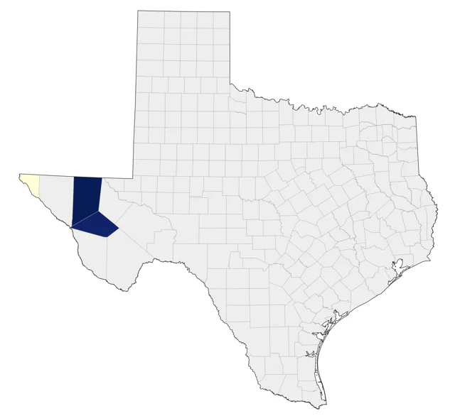 Olive Warbler county map
