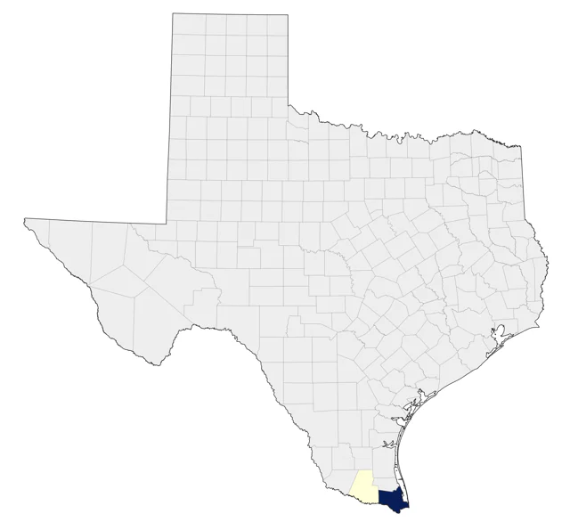 Social Flycatcher county map