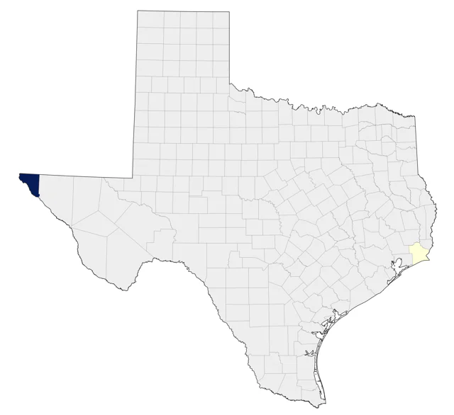 Vaux's Swift county map