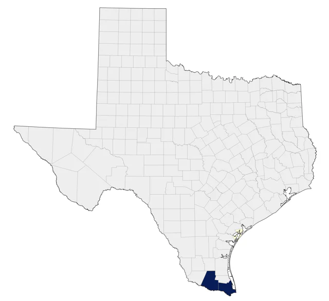 Yellow-faced Grassquit county map