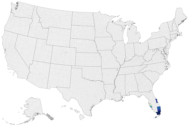 Bahama Mockingbird county map