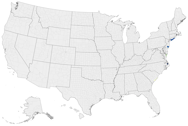 Bermuda Petrel county map