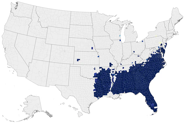 Brown-headed Nuthatch county map
