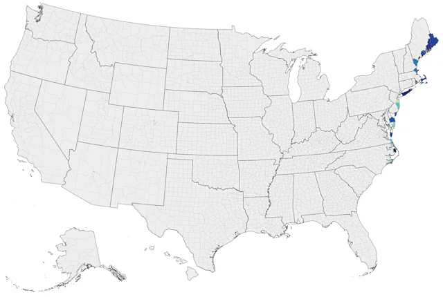 Great Skua county map