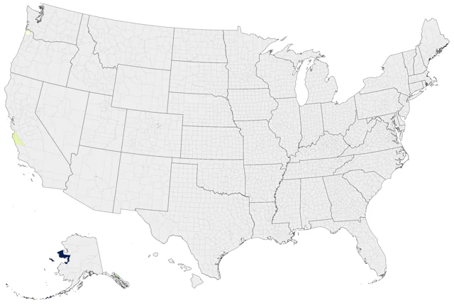 Long-toed Stint county map