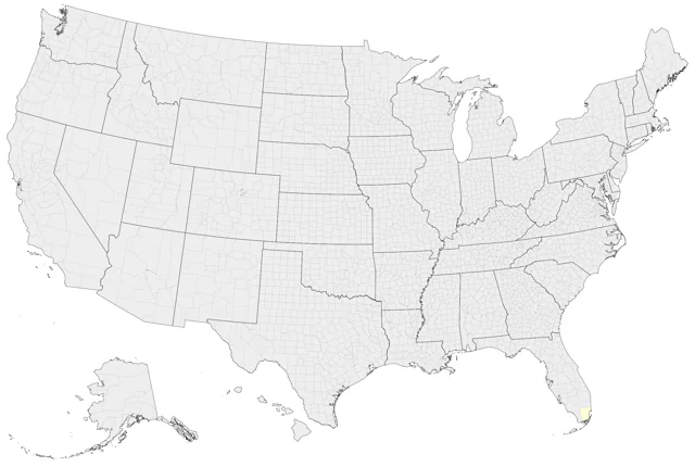 Maroon-bellied Parakeet county map