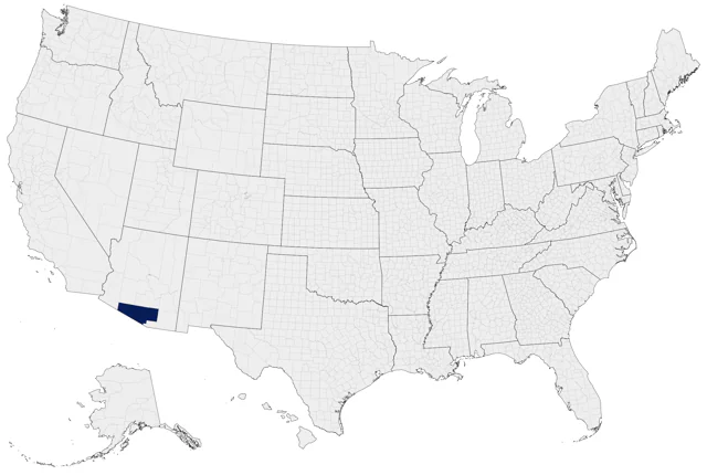 Pine Flycatcher county map