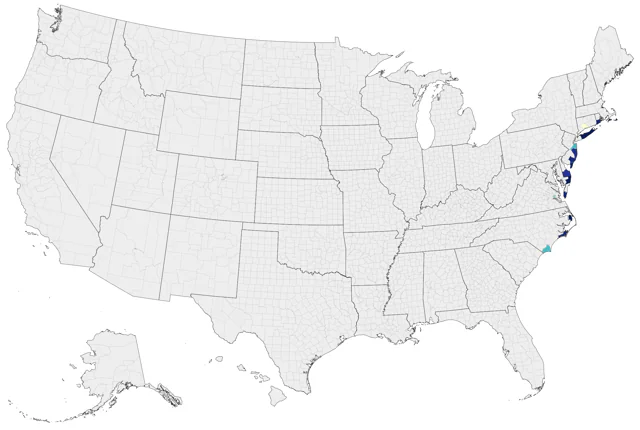 White-faced Storm-Petrel county map