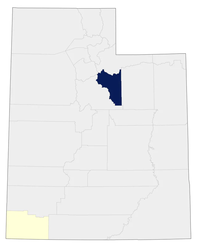 Black Swan county map