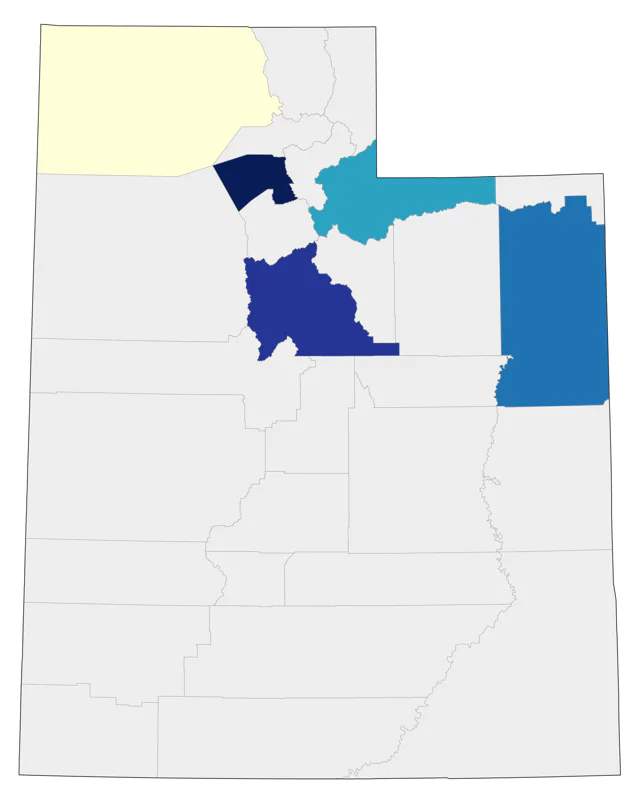 Ruff county map