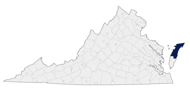 Elegant Tern county map