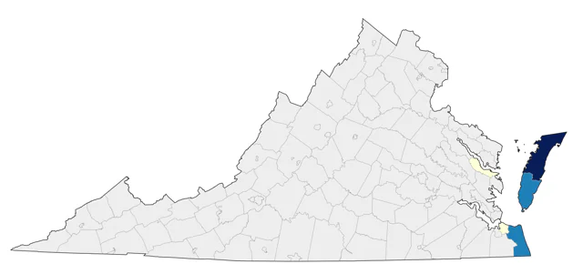 Sooty Shearwater county map