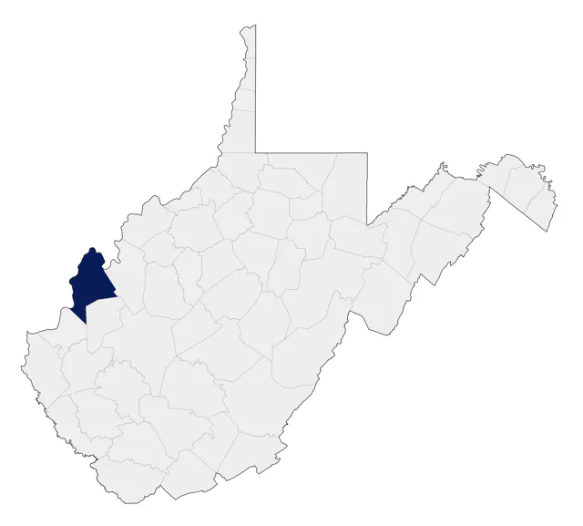 Cinnamon Teal county map
