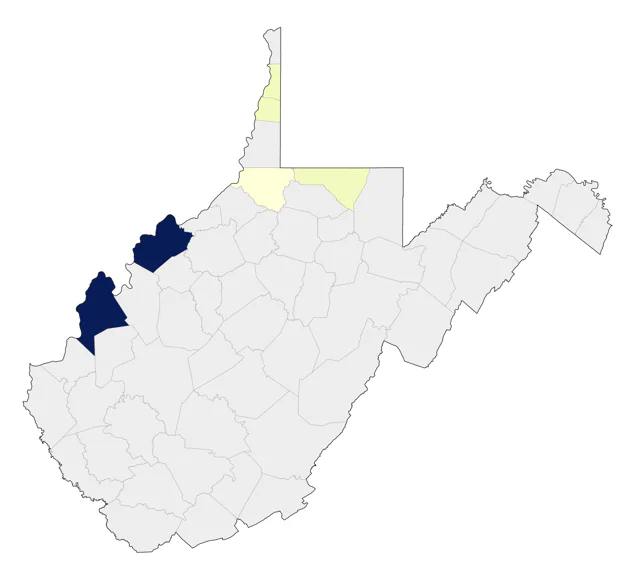 Iceland Gull county map