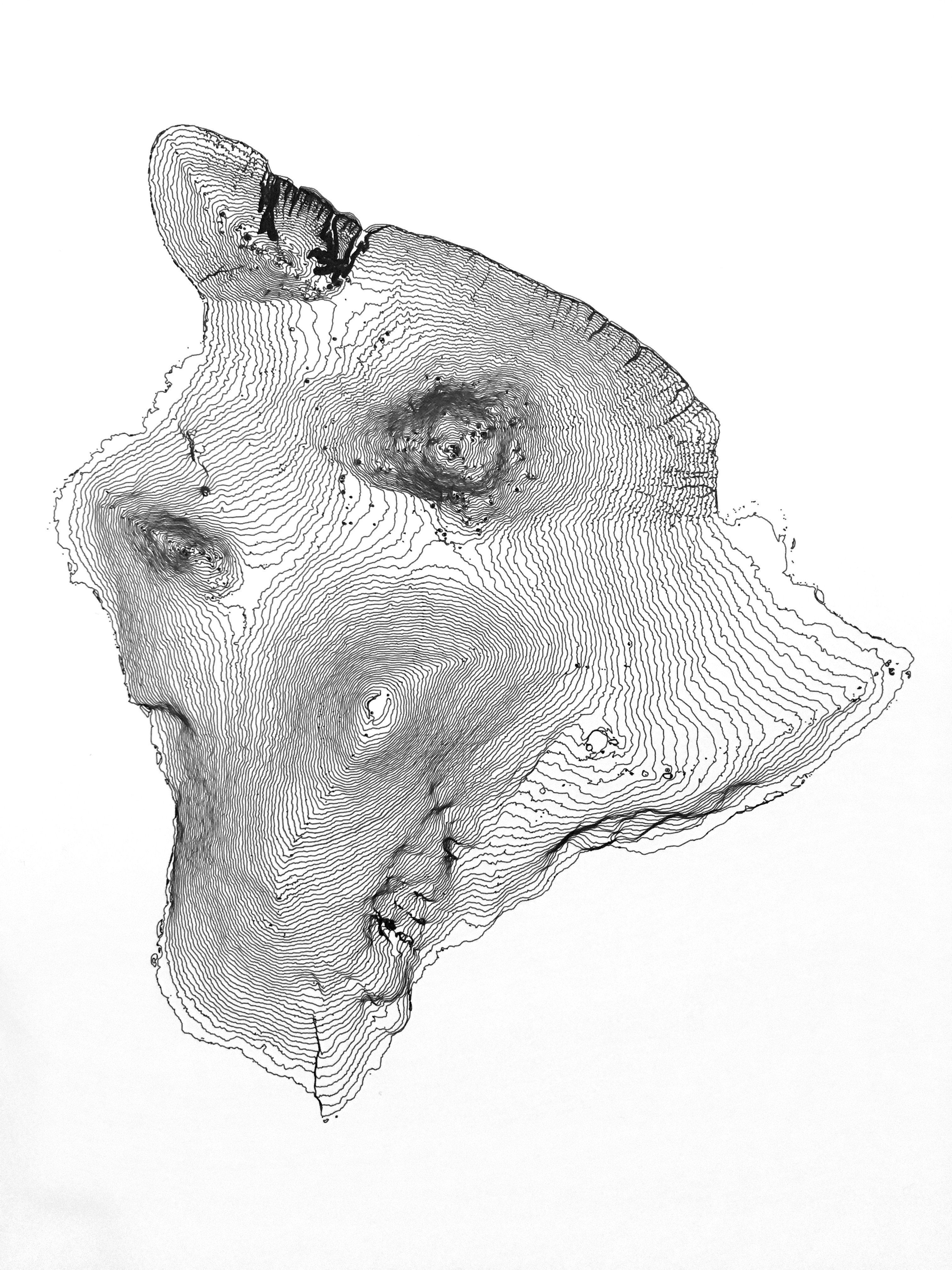 graph plotter drawing graph plotter drawing